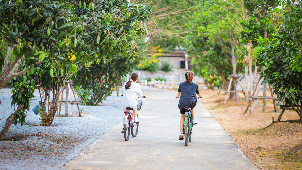 Complimentary Bicycles